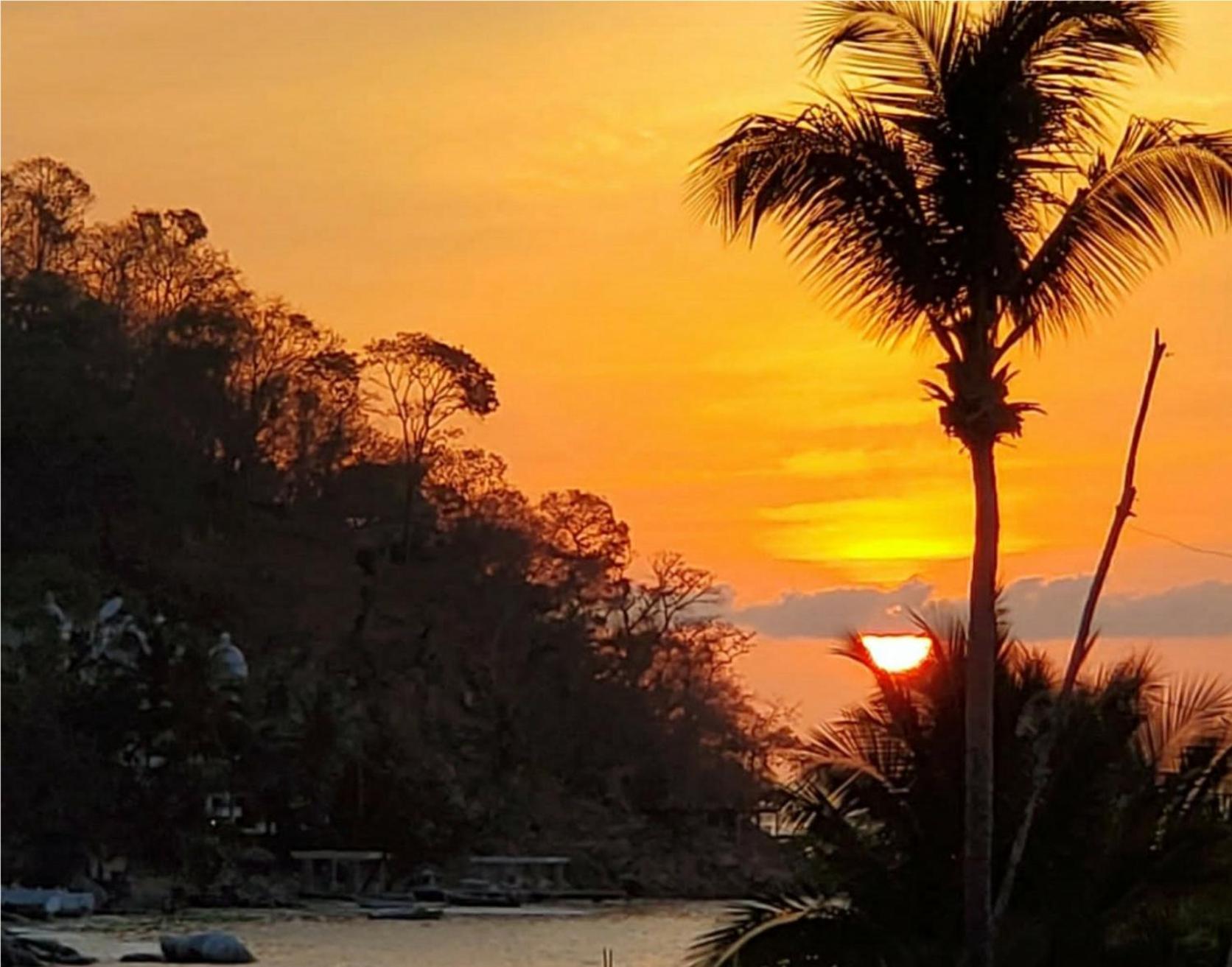Villa La Sirena Puerto Vallarta Rum bild